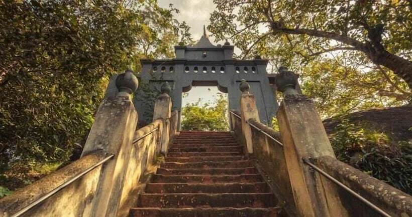 ホテル Turtle Paradise