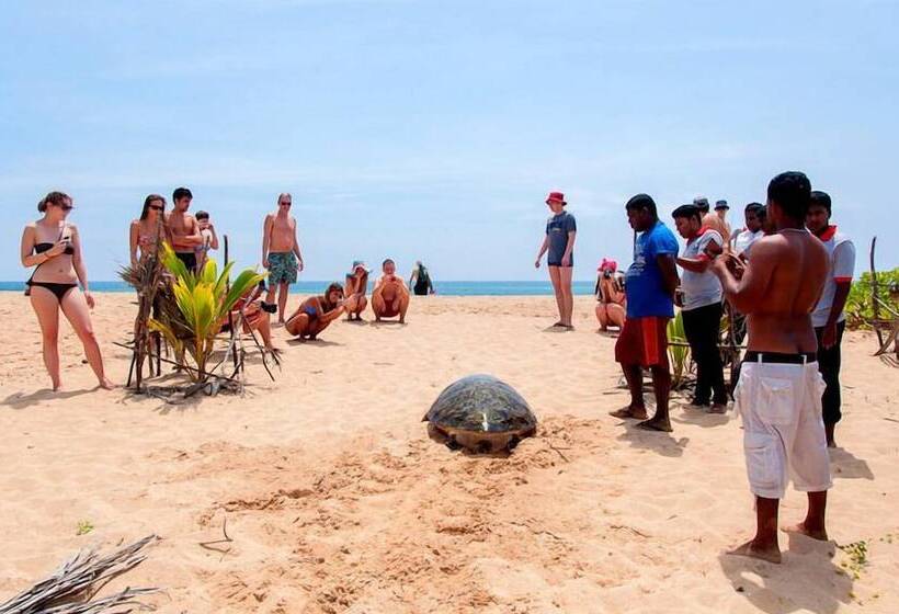 ホテル Turtle Paradise