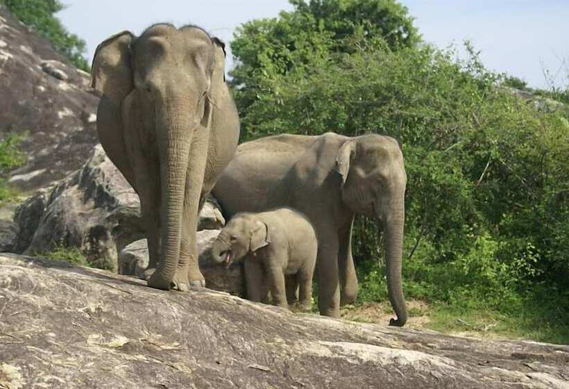 ホテル Turtle Paradise