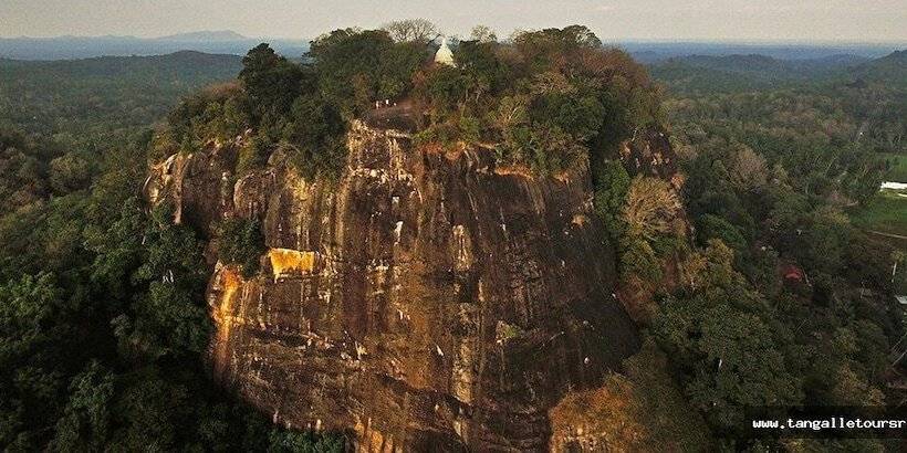 ホテル Turtle Paradise