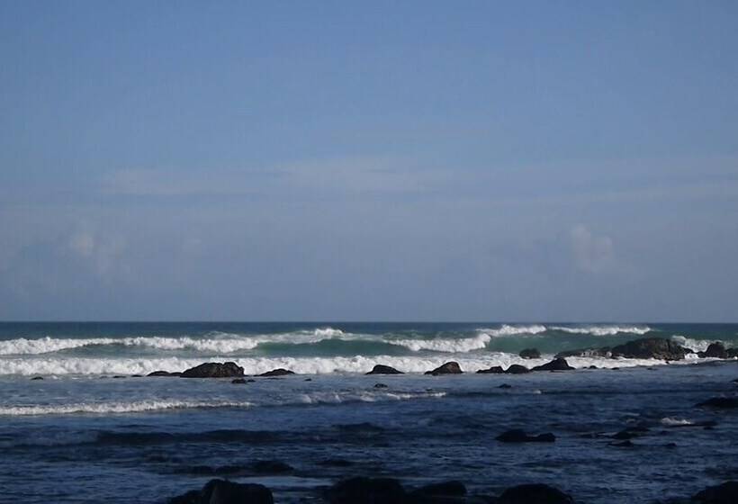 ホテル Turtle Paradise