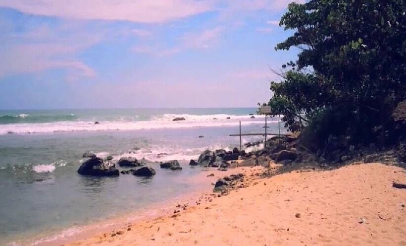 ホテル Turtle Paradise