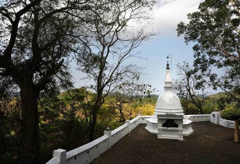 ホテル Turtle Paradise