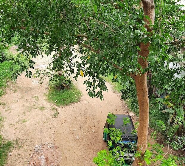 ホテル Turtle Paradise