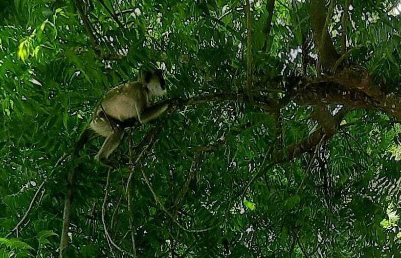 ホテル Turtle Paradise