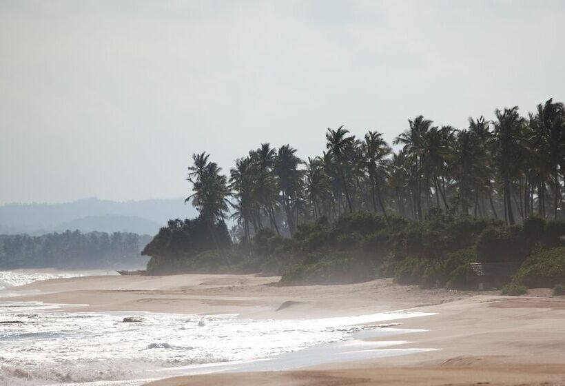 ホテル Turtle Paradise