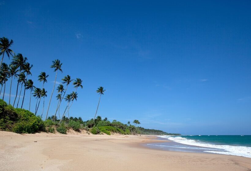 ホテル Turtle Paradise