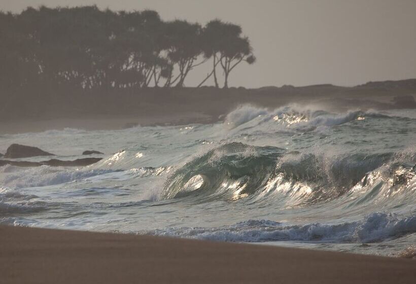 ホテル Turtle Paradise