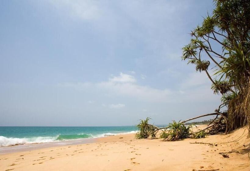 ホテル Turtle Paradise