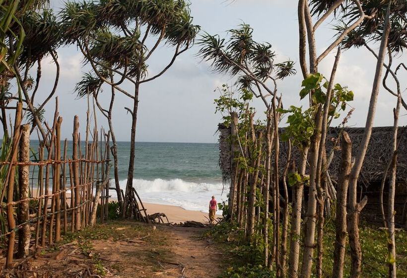 ホテル Turtle Paradise