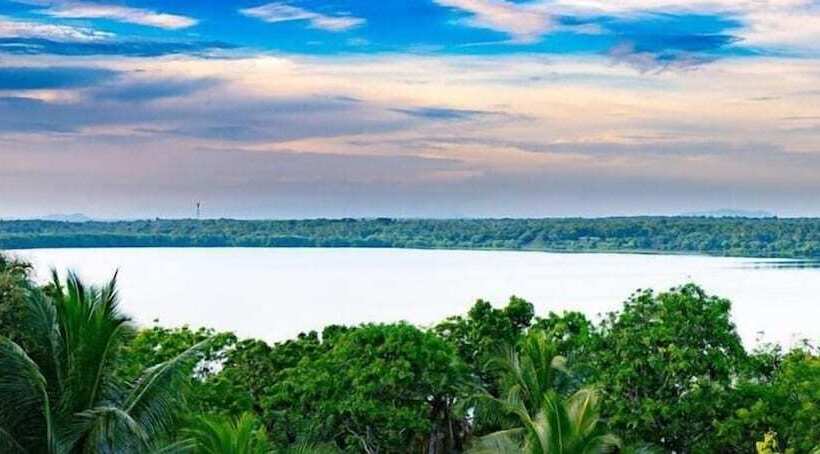 ホテル Turtle Paradise