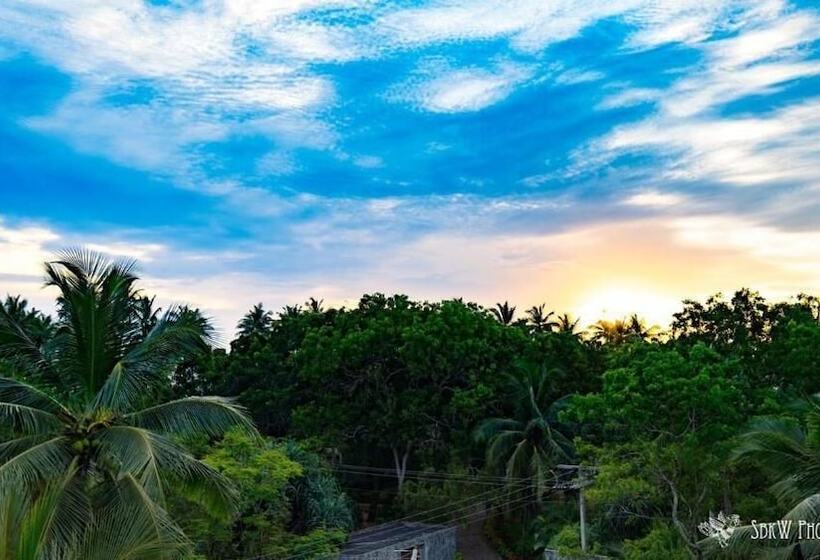 ホテル Turtle Paradise