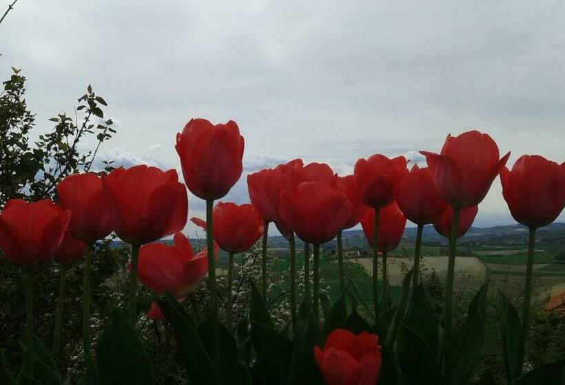 B&b Monferrato La Casa Sui Tetti