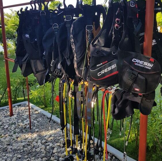 Cangdoki Resort And Dive Camp