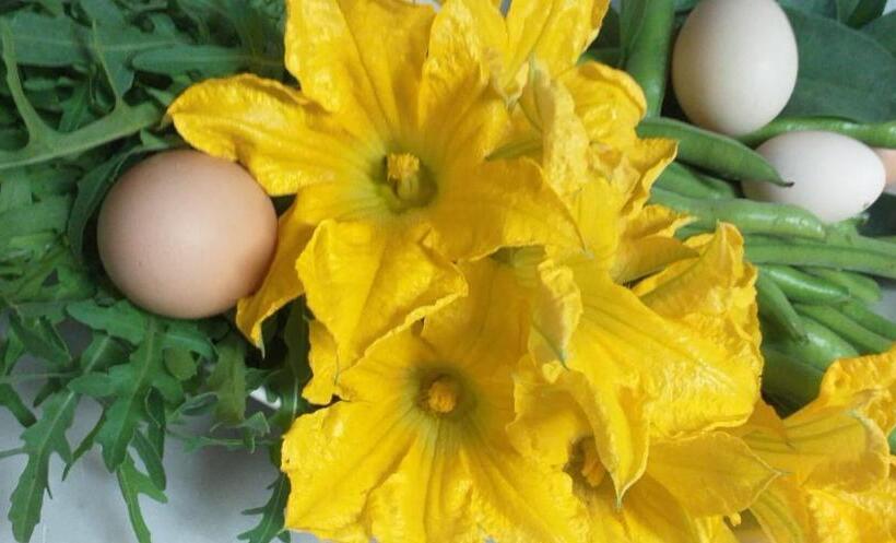 호텔 Agriturismo Cascina Knec