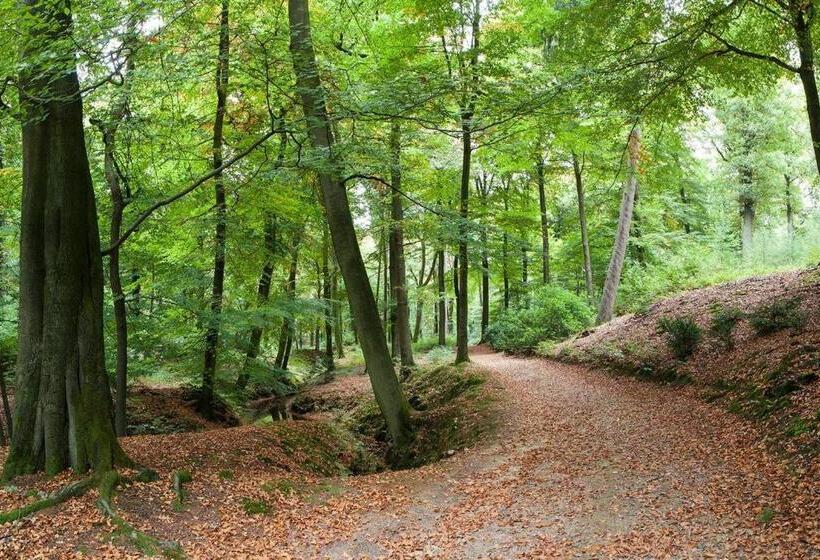 בית מלון כפרי Agriturismo Don Cesarino