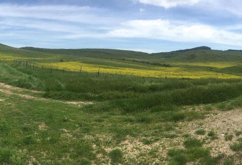 בית מלון כפרי Agriturismo Don Cesarino