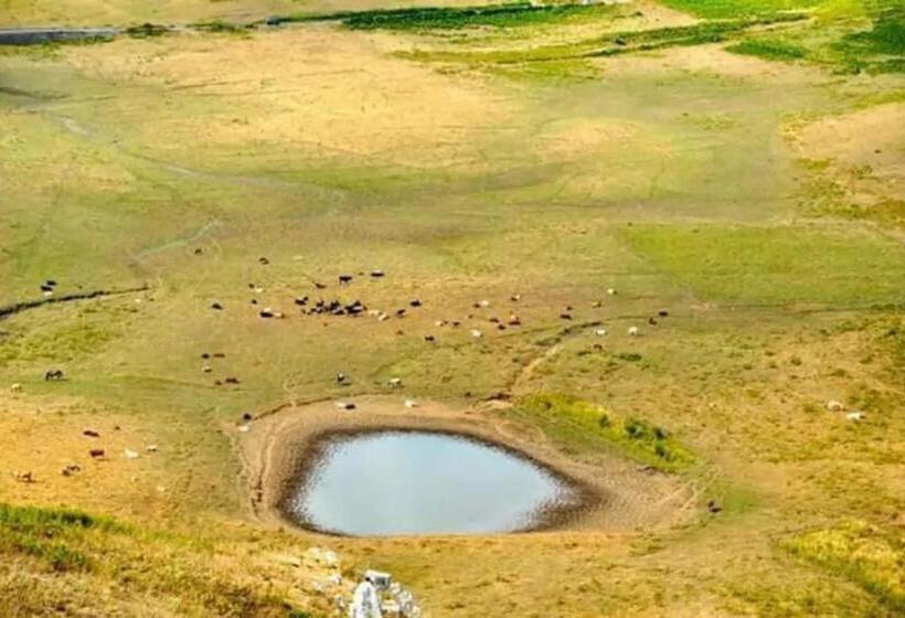 בית מלון כפרי Agriturismo Don Cesarino