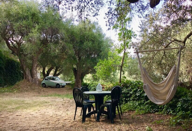 בית מלון כפרי Agriturismo Don Cesarino