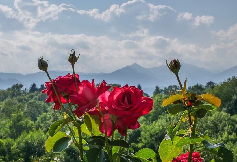 فندق Albergo Ristorante Monterosa