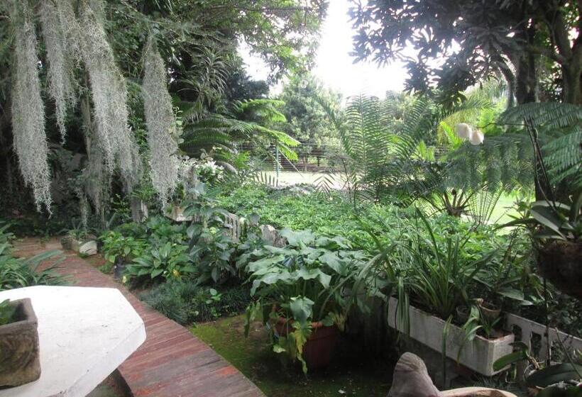 Отель Almar View Guest House