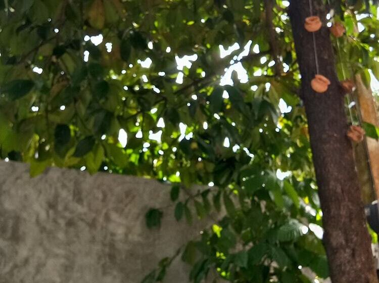 Отель Banchomchan