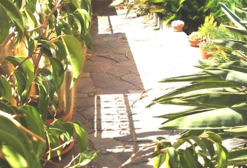 בית מלון כפרי Italia Guesthouse