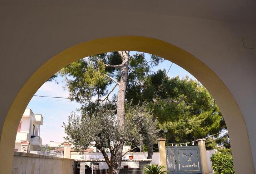 Szálloda B&b Le Mimose