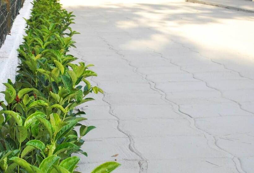 Szálloda B&b Le Mimose