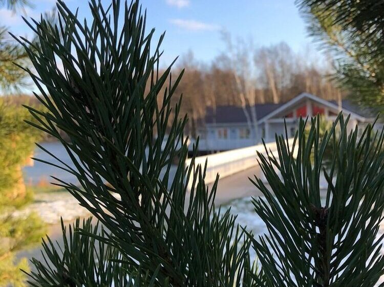 فندق Country Club Medvezhy Ozera