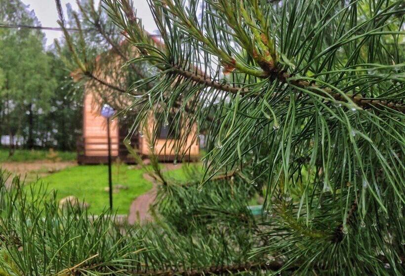 فندق Country Club Medvezhy Ozera