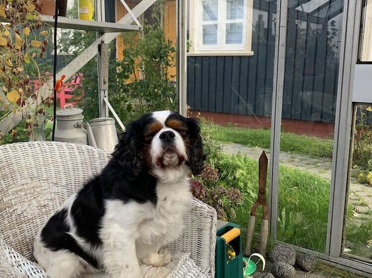 هتل Guesthouse Heba