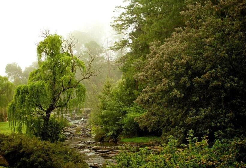 בית מלון כפרי Hawklee Country House