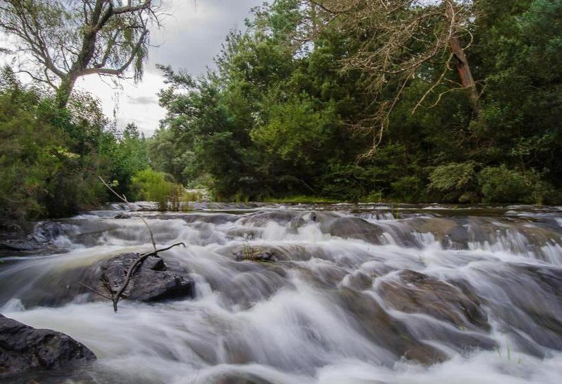 בית מלון כפרי Hawklee Country House