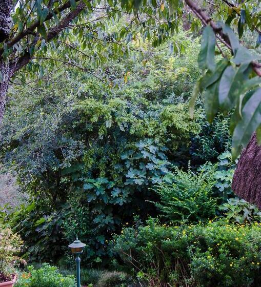 בית מלון כפרי Hawklee Country House