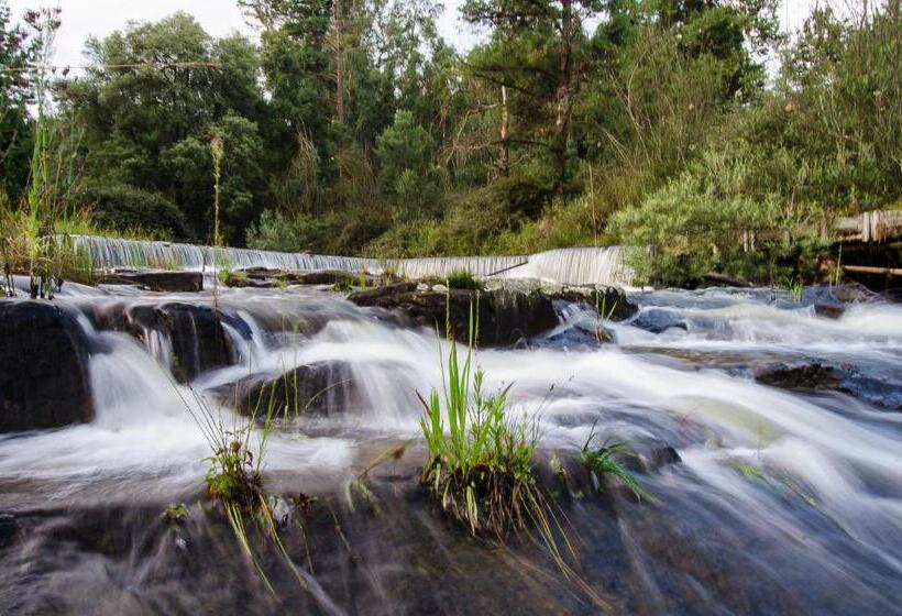בית מלון כפרי Hawklee Country House