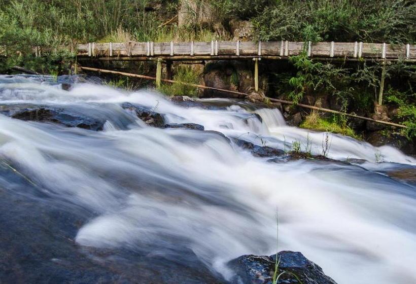 בית מלון כפרי Hawklee Country House