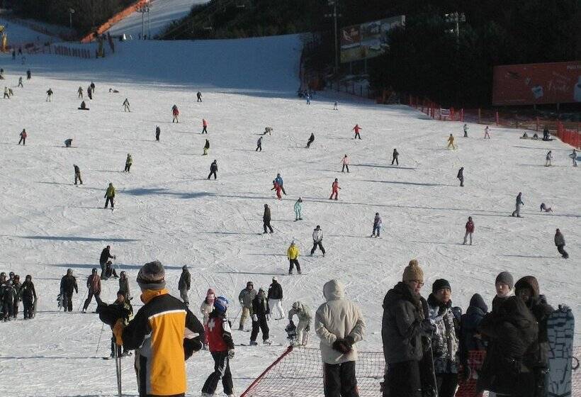 בית מלון כפרי Heidi Korea