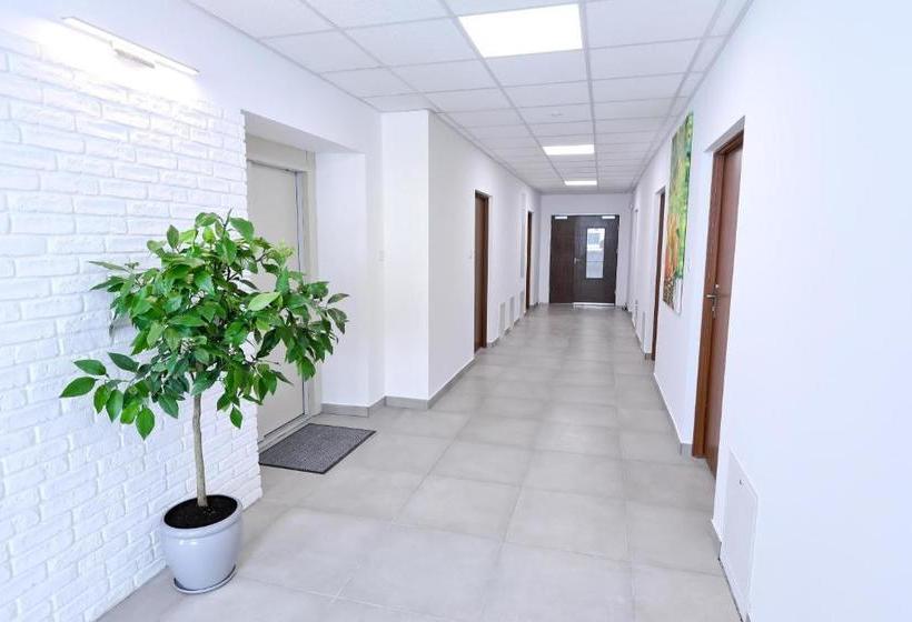 Отель Orange Tree