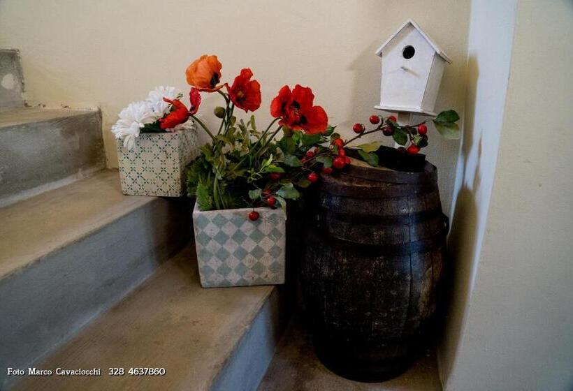 호텔 Il Bosso Di Toscana