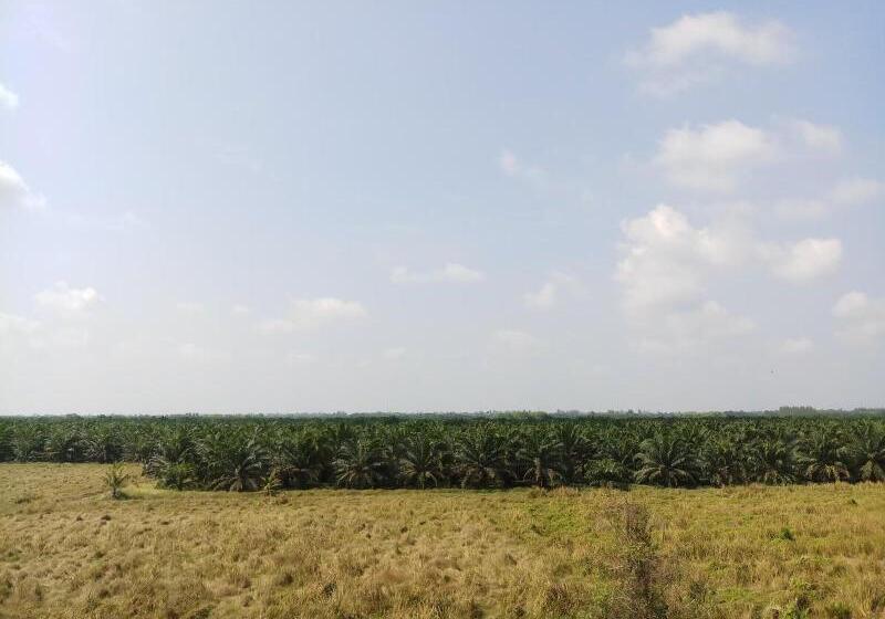 호텔 Jc Guesthouse