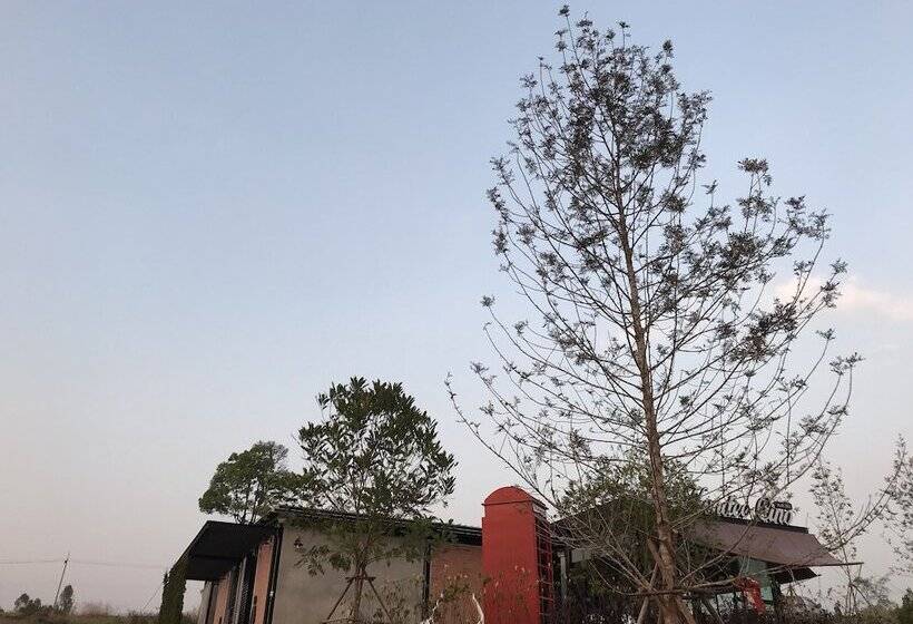 Otel Kondee Cino Cafè And Glamping