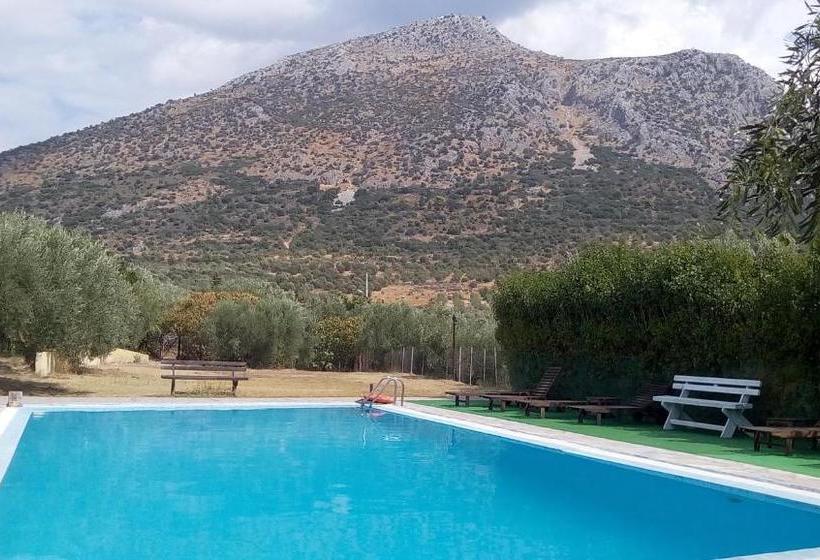 Отель La Petite Planete