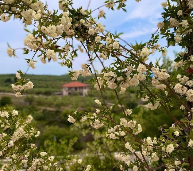 Отель La Petite Planete