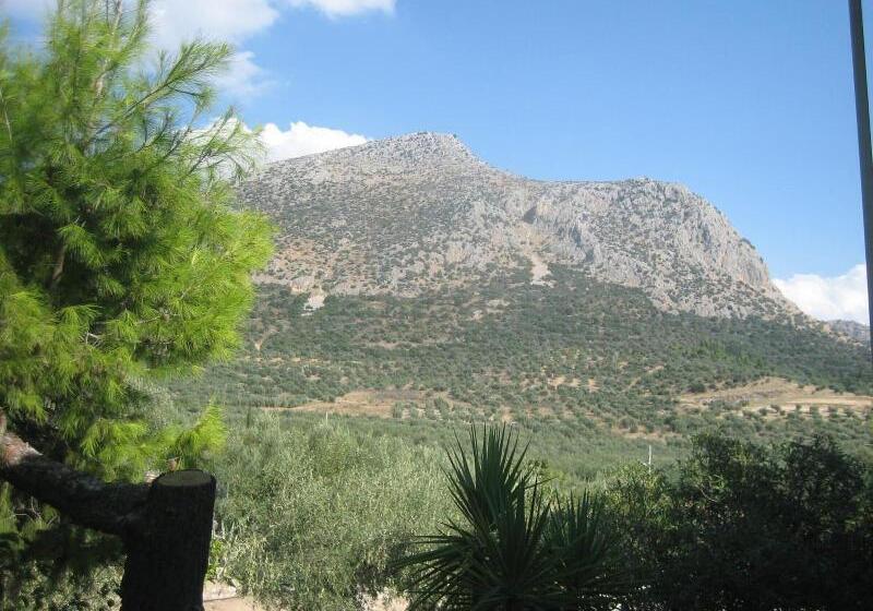 Отель La Petite Planete