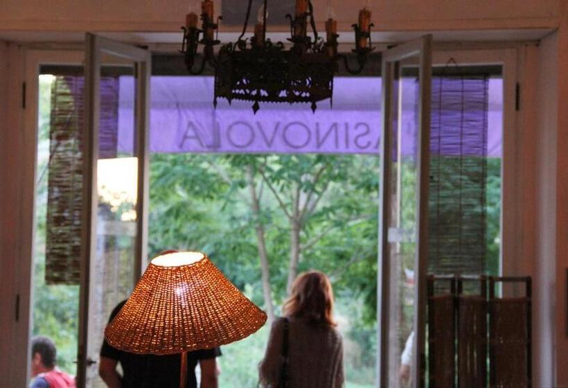 فندق L'asino Vola