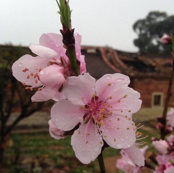 هتل Mount Tai Wu Cozy