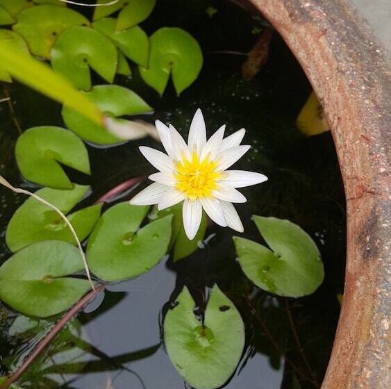 هتل Mount Tai Wu Cozy