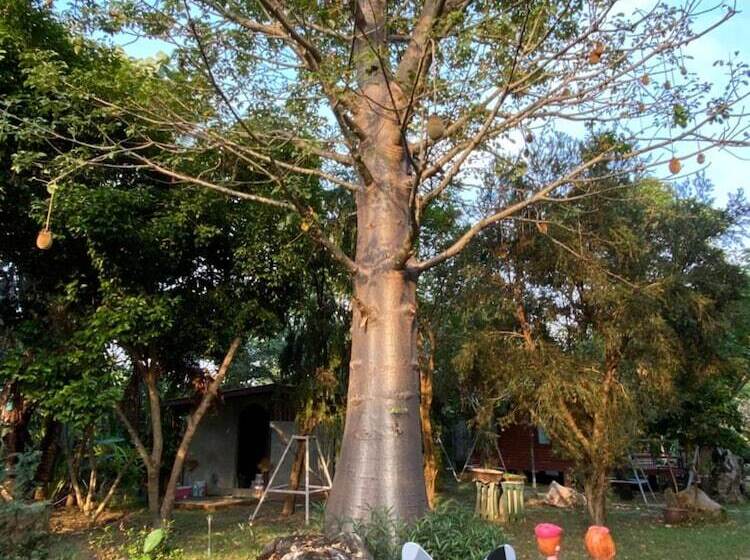 Отель Nung Ni Bang Khon Thi Resort