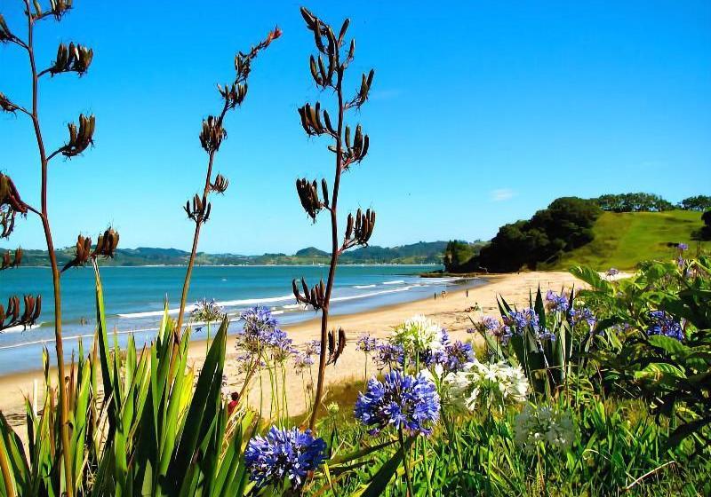 ホテル On The Beach Bed & Breakfast